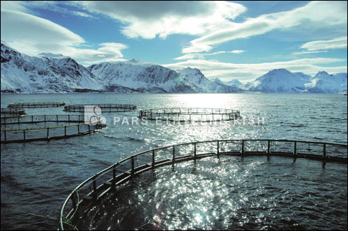 Polyethylene cage fish farming