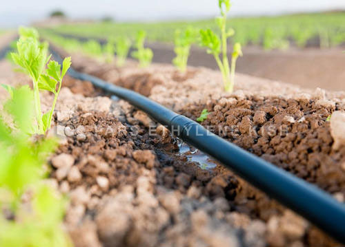 Drip Irrigation and Its Advantages and Disadvantages